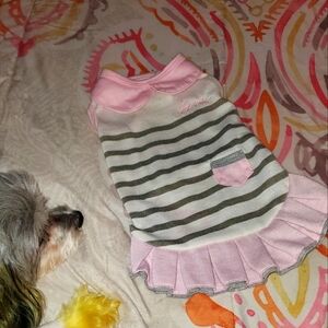 Ellen Degeneres Puppy 🐶 Dress with Ruffle pleated hem pink colar.. X small